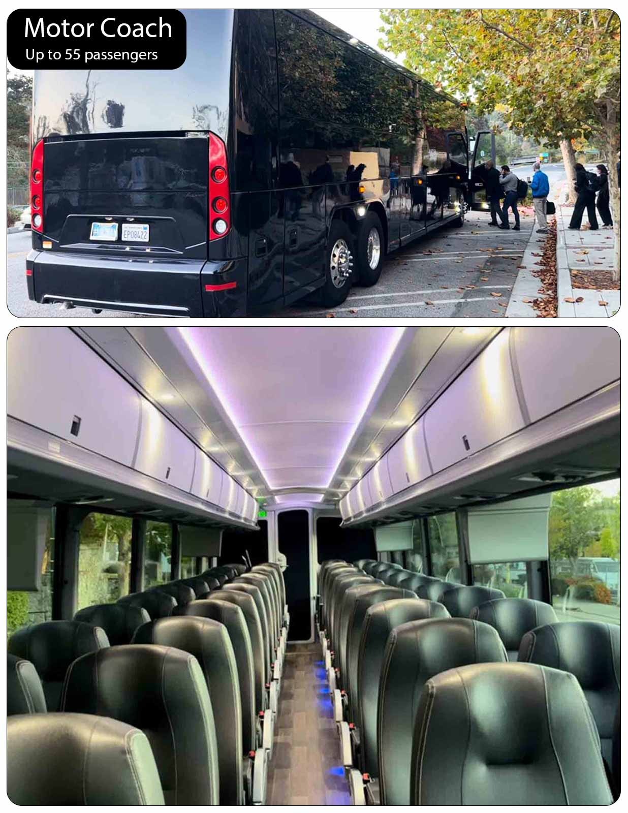 Motor Coach