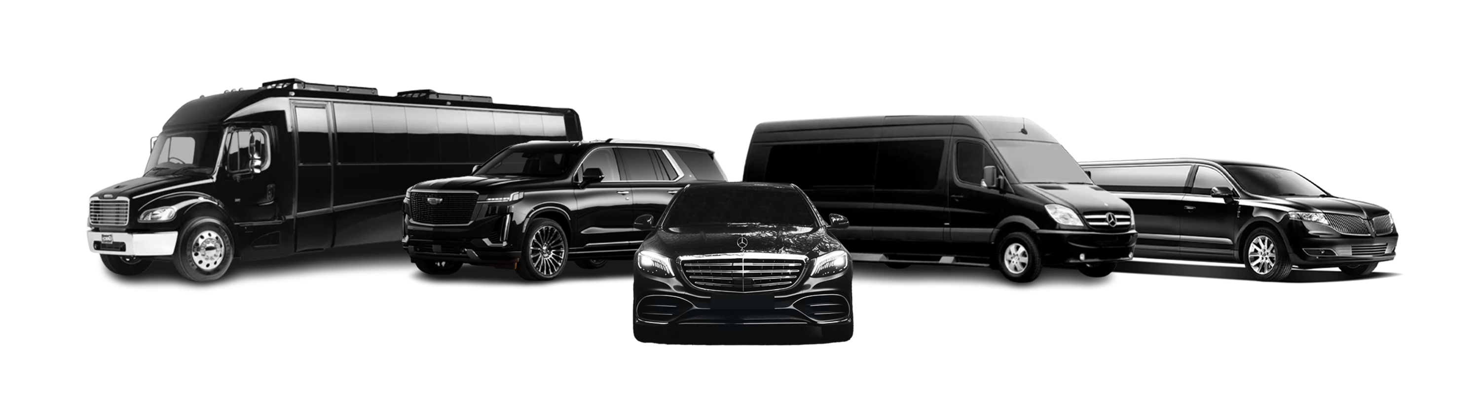 Full luxury fleet including party bus, SUV, Sprinter van, sedan, and stretch limo for JFK to Long Island car service